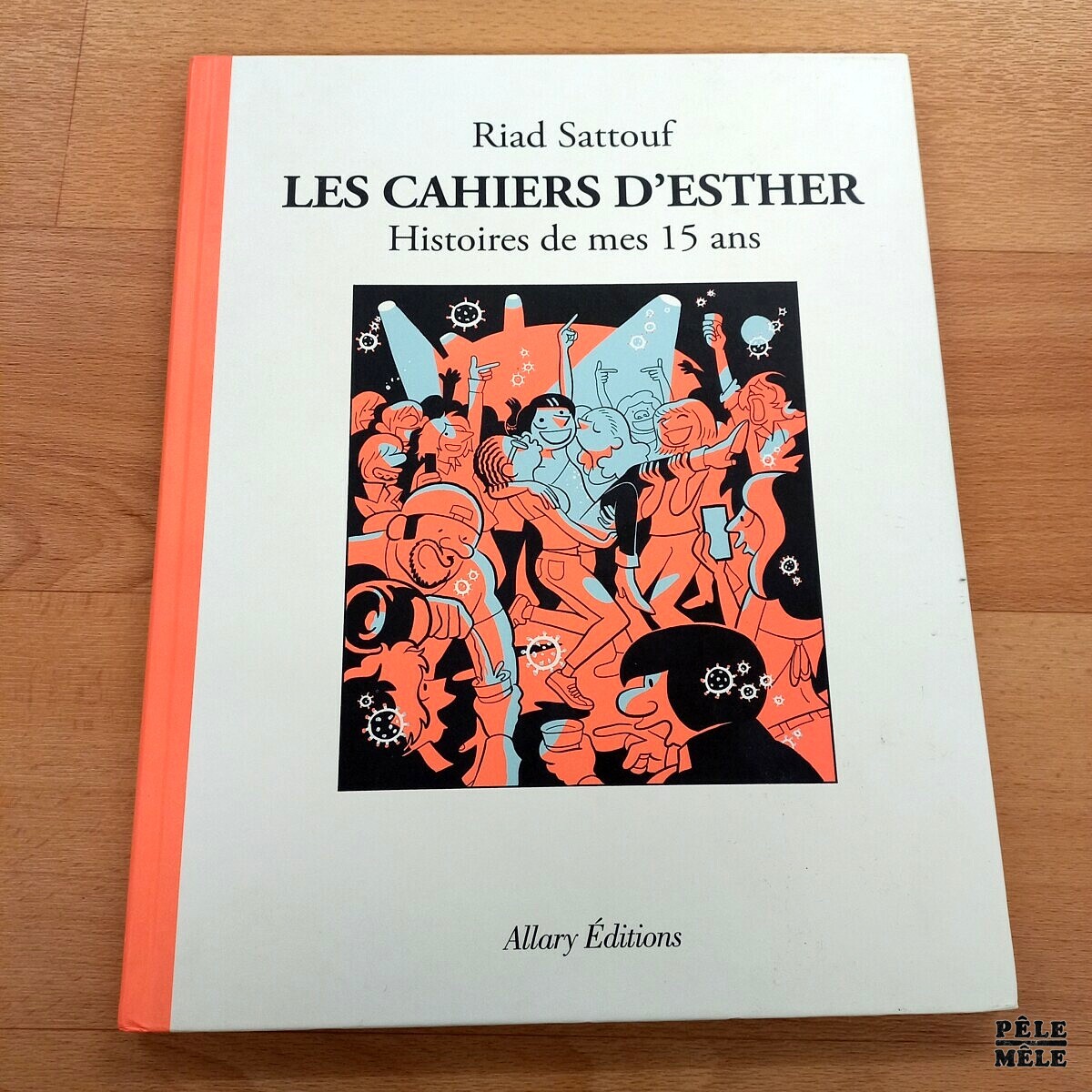 Les Cahiers D Esther Histoires De Mes 15 Ans Histoires De Mes 14