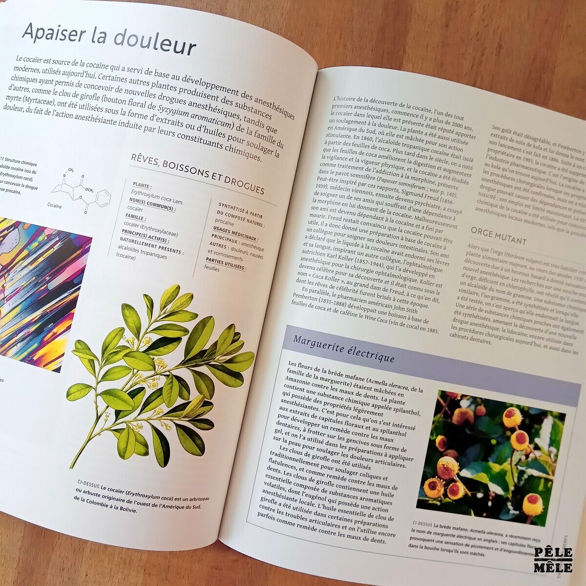 Les Plantes Qui Soignent Elizabeth A Dauncey Melanie Jayne R