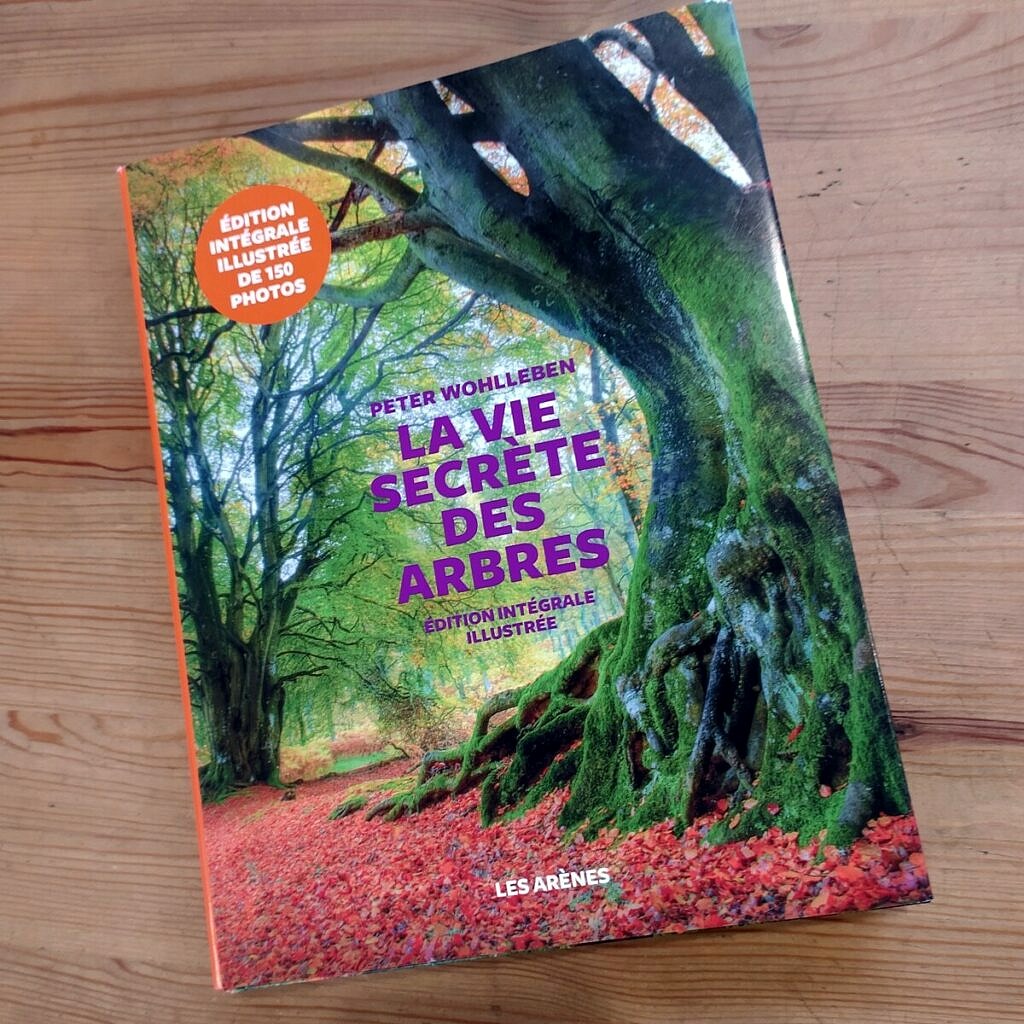 Peter Wohlleben La Vie Secrète Des Arbres Peter Wohlleben "La Vie Secrète des Arbres, édition intégrale illustrée