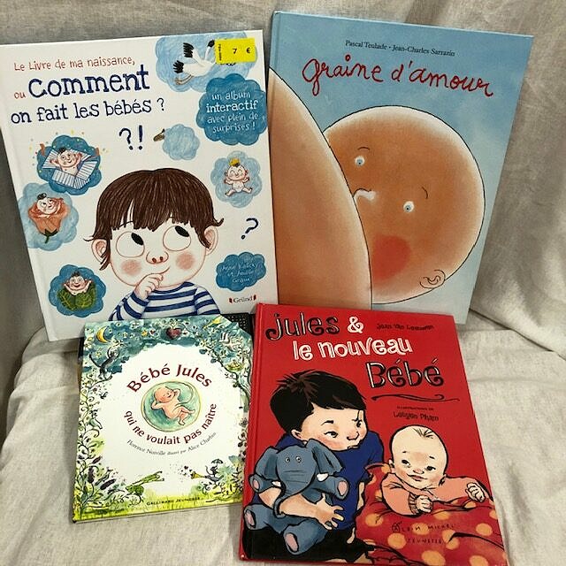 Pack De 4 Livres Jeunesse Comment On Fait Les Bebes Histoire Avec Bebe Pour Petits Pele Mele Online