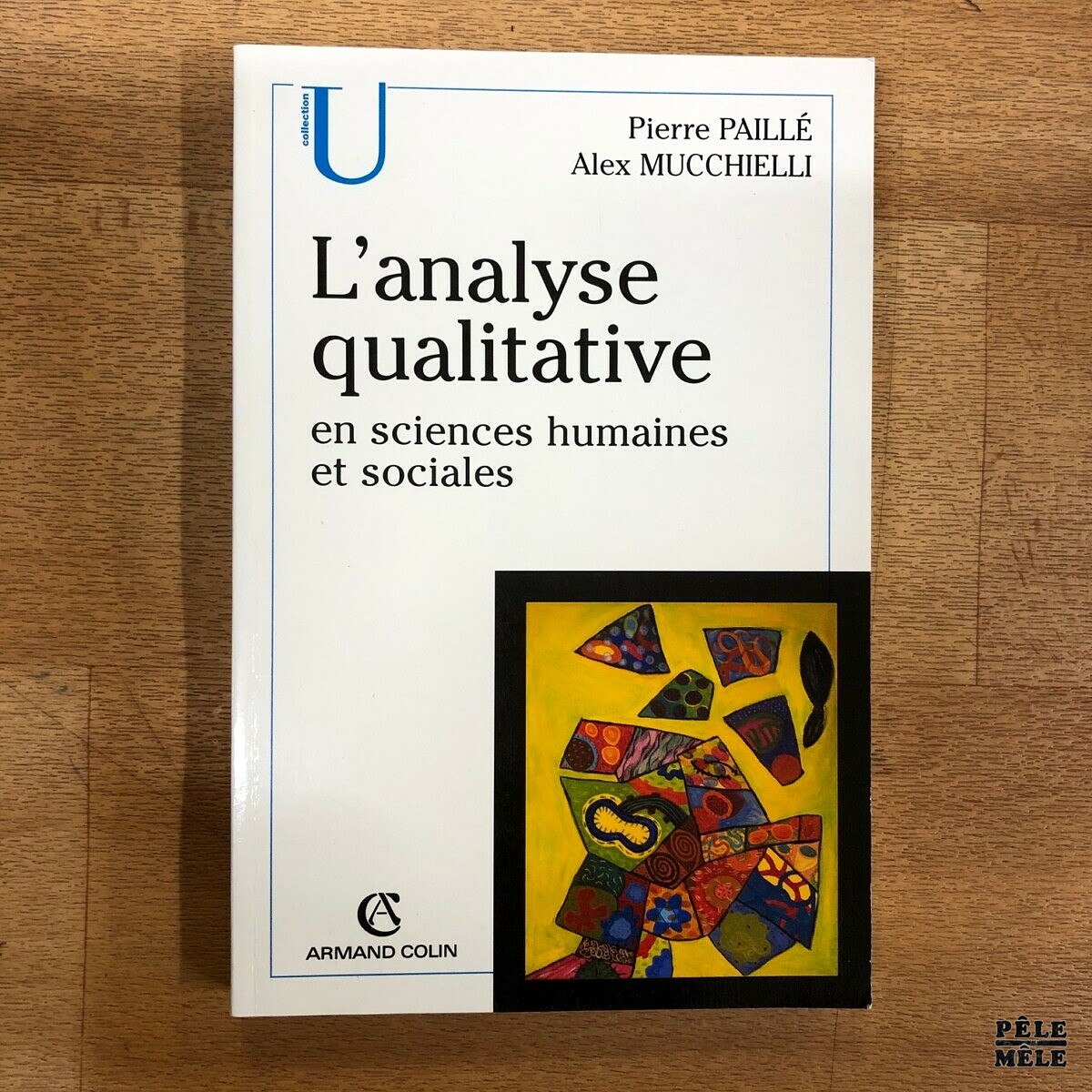 L'analyse Qualitative En Sciences Humaines Et Sociales - Pierre Paillé ...