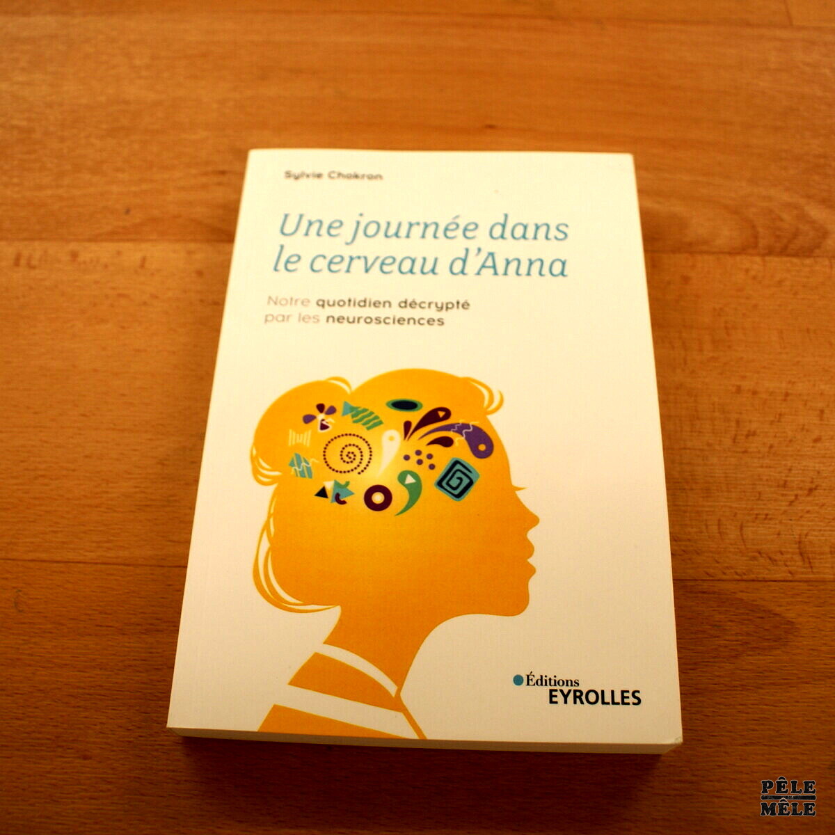 Une Journée Dans Le Cerveau D Anna "Une journée dans le cerveau d'Anna" - Sylvie Chokron - Pêle-Mêle Online