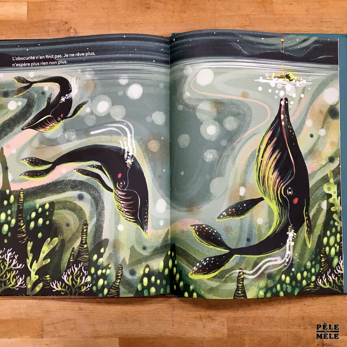 La baleine la plus seule au monde Kim Crabeels, Sebastiaan Van