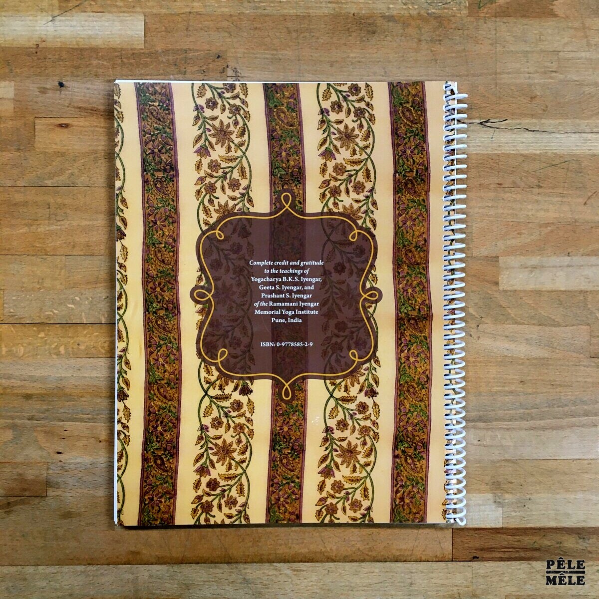 Iyengar Yoga cancer book Lois Steinberg PêleMêle Online