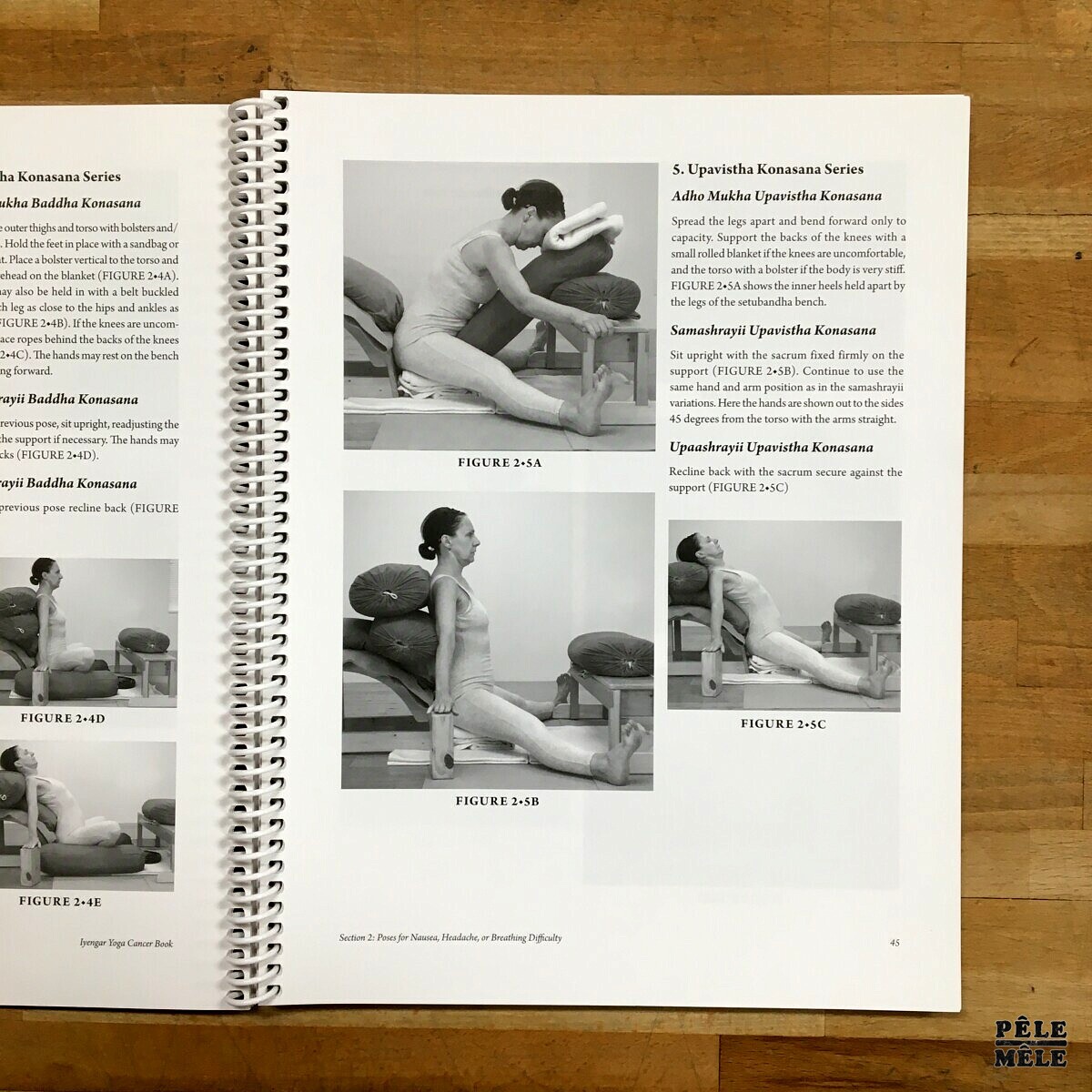 Iyengar Yoga cancer book Lois Steinberg PêleMêle Online