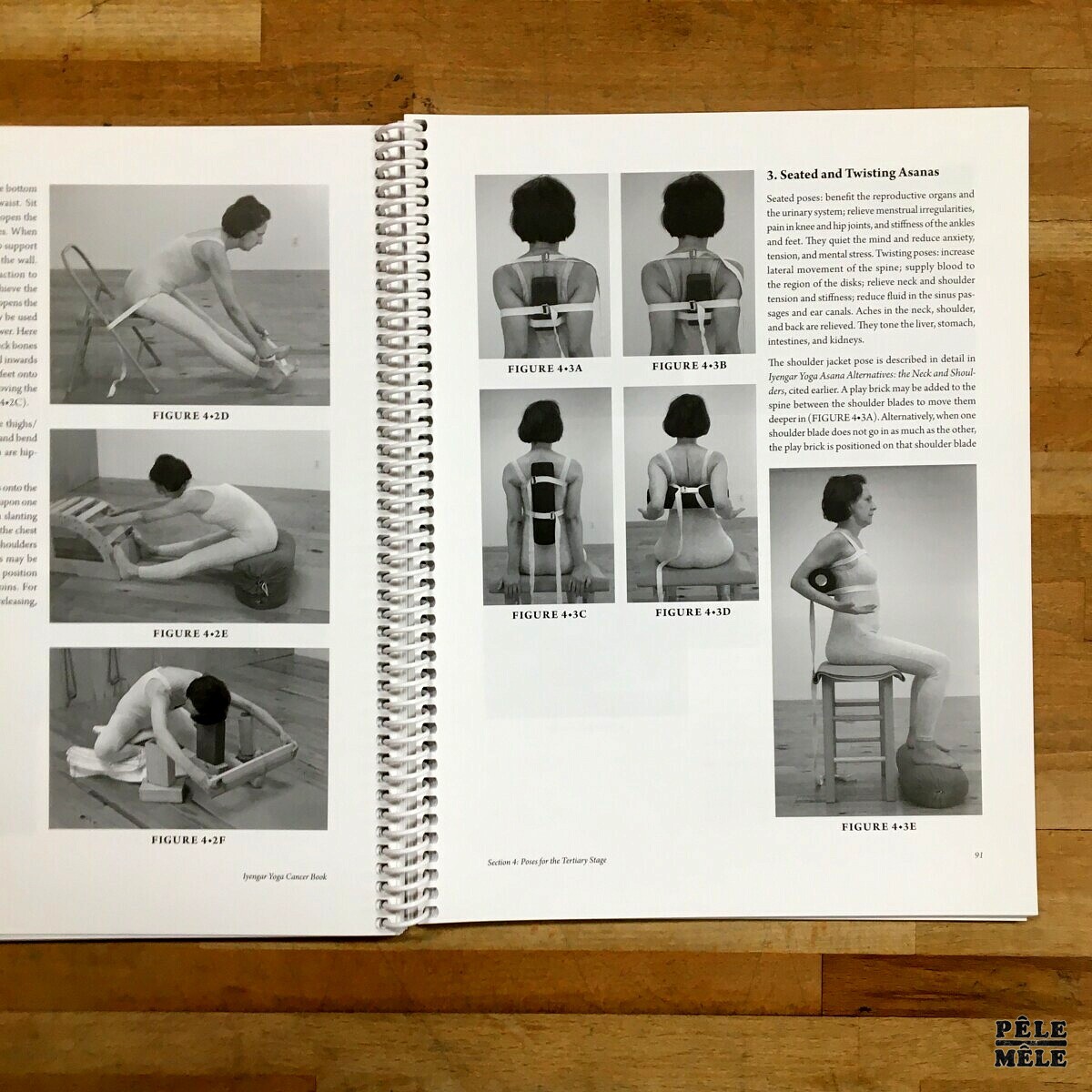 Iyengar Yoga cancer book Lois Steinberg PêleMêle Online