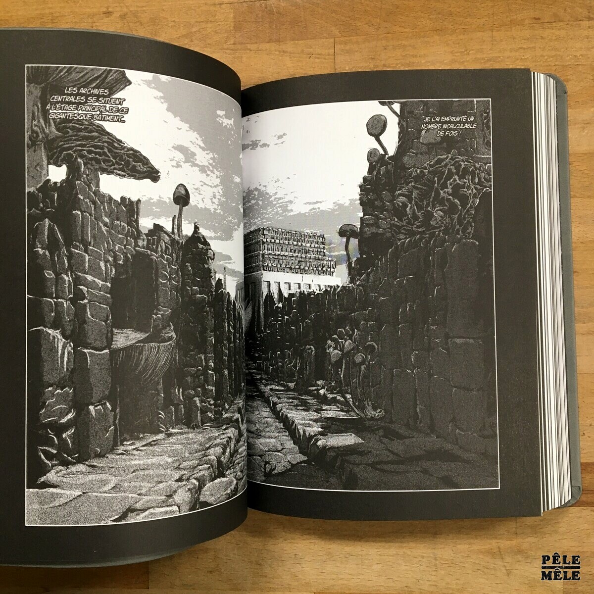 Les Chefs D'oeuvre De Lovecraft Gou Tanabe Les chefs-d'oeuvre de Lovecraft : Dans l'abime du temps (FAUVE D