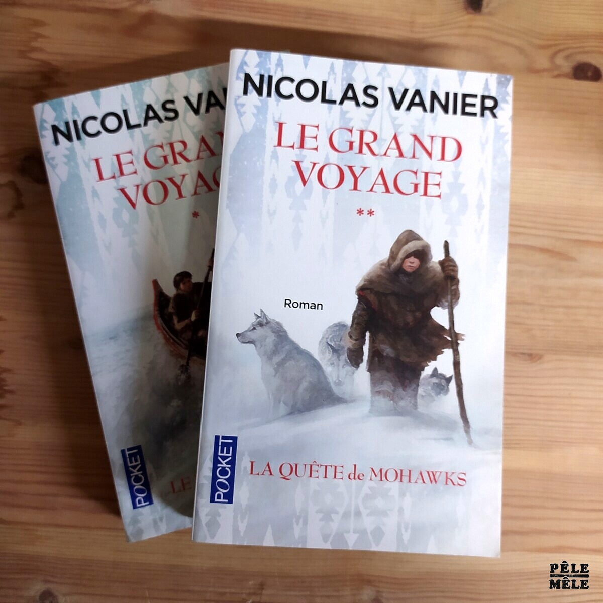 le grand voyage nicolas vanier tome 3