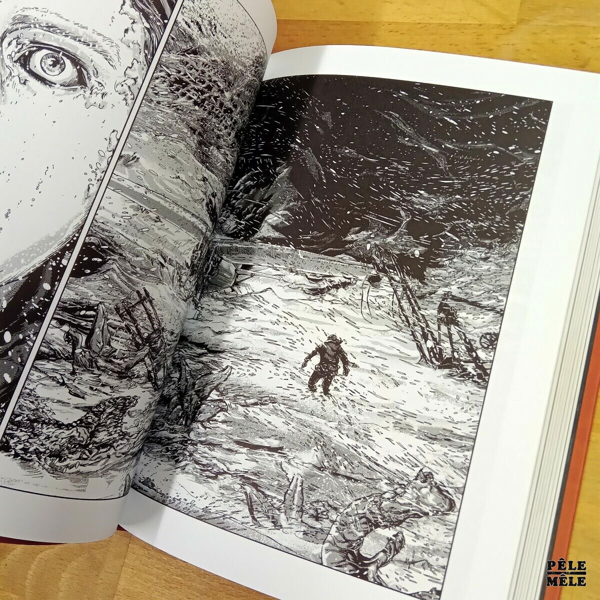 Les Chefs D'oeuvre De Lovecraft Gou Tanabe "Les montagnes hallucinées" (Tome 1) - Gou Tanabé / Les chefs d'œuvre