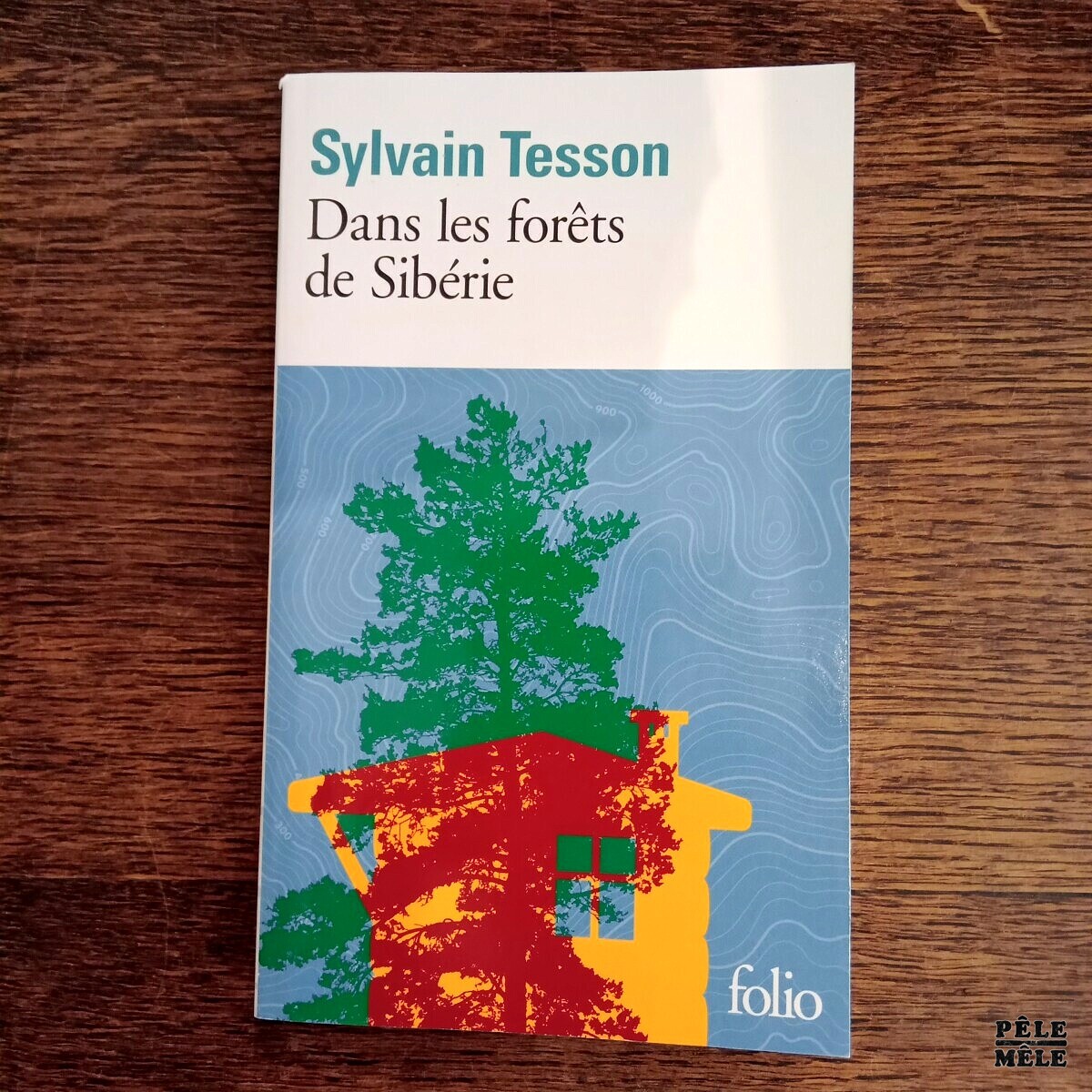 Dans les forêts de Sibérie - Sylvain Tesson - Pêle-Mêle Online
