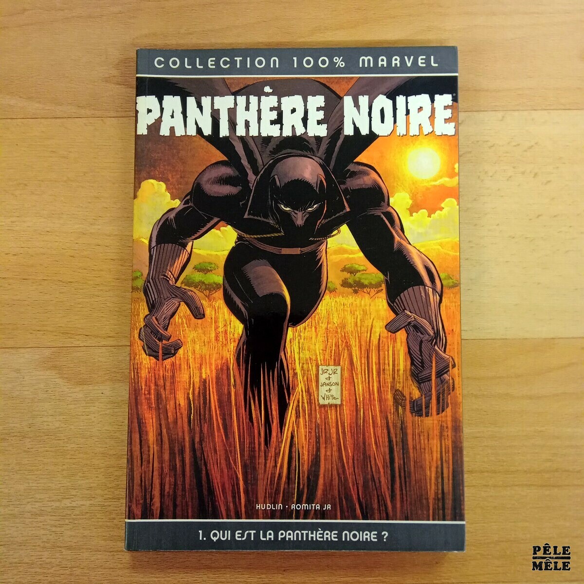 Panthère Noire, tome 1 : Qui est la Panthère Noire ? - Hudlin et Romita  Jr. (Marvel) - Pêle-Mêle Online