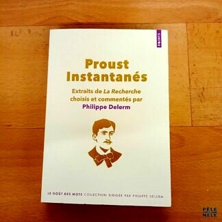 "Proust Instantanés, Extraits de "La recherche" choisis et commentés par Philippe Delerm" - Collection Le Goût des Mots