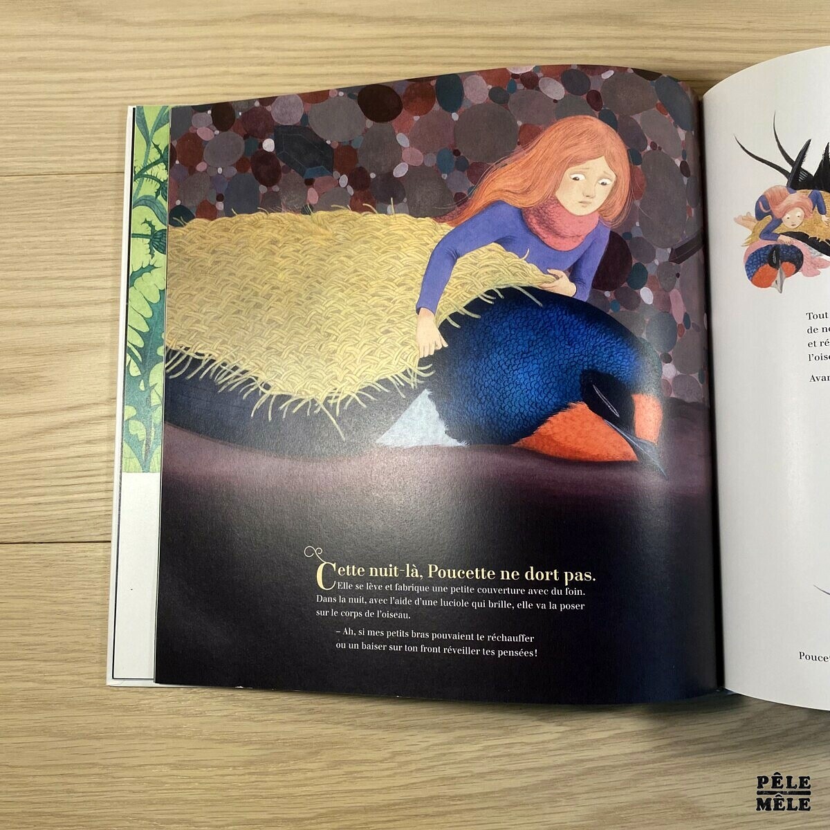 Poucette Carl Norac, Claire de Gastold PêleMêle Online