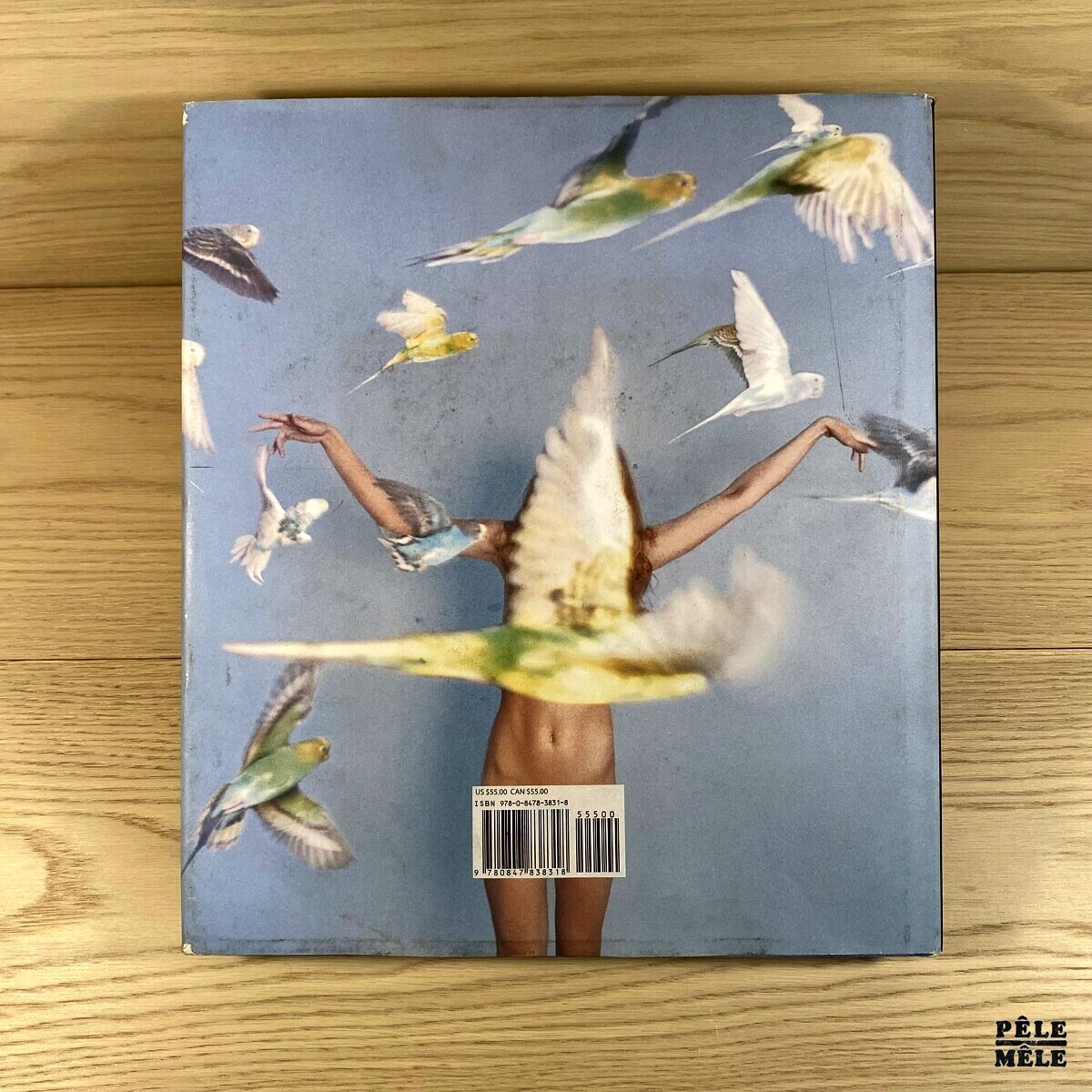 Ryan McGinley Whistle for the Wind PêleMêle Online