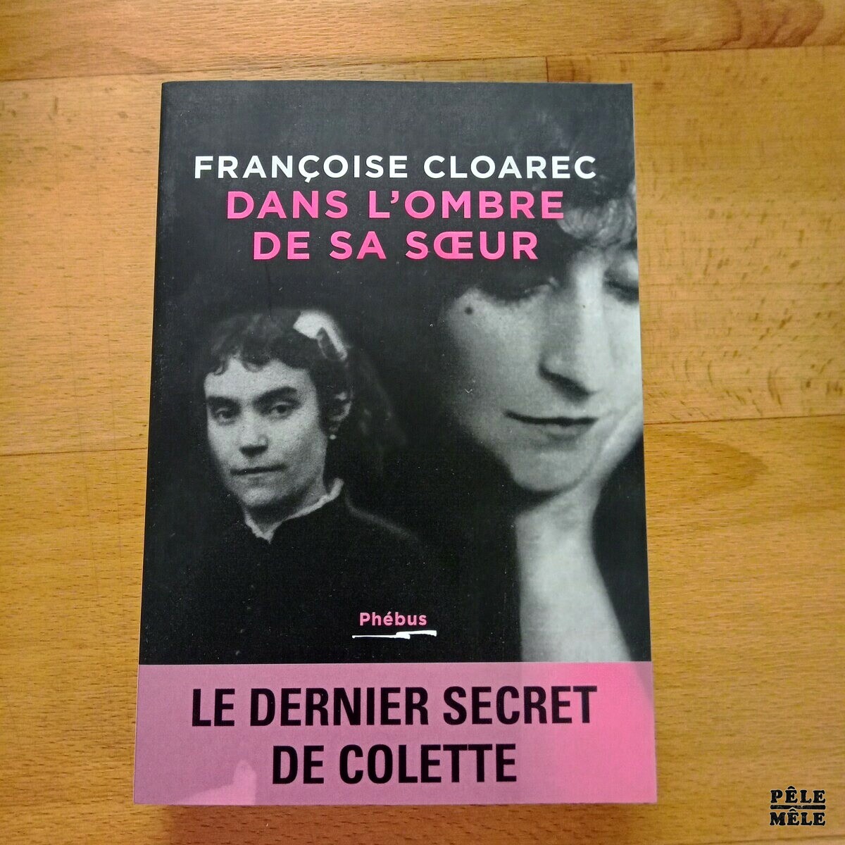 Dans L ombre De Sa Soeur Fran oise Cloarec P le M le Online dans-l-ombre-de-sa-soeur-fran-oise-cloarec-p-le-m-le-online