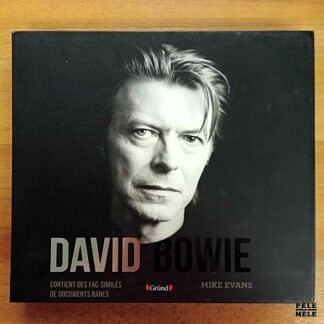 "David Bowie" - Mike Evans (Gründ)